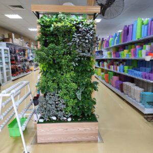 green wall