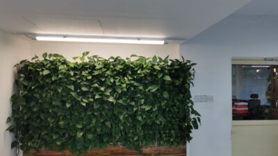 Green wall