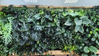 Green wall