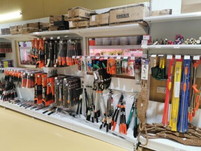 Shop