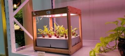Hydroponic
