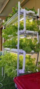 Hydroponic