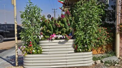 Raised Garden Bed