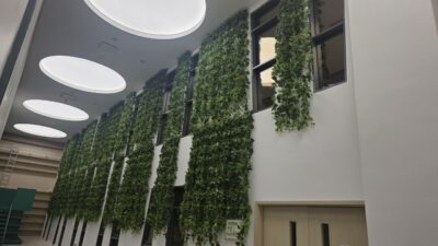 Green wall