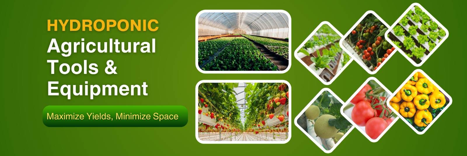 hydroponic
